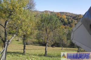 teren-5000-mp-intravilan-de-vanzare-in-albestii-de-muscel-arges-14