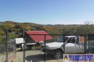 teren-5000-mp-intravilan-de-vanzare-in-albestii-de-muscel-arges-15