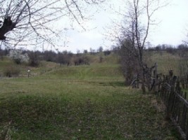 teren-3-ha-extravilan-de-vanzare-in-albestii-de-muscel-bratisoara-arges-ideal-pentru-activitati-agricole-2