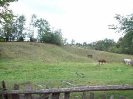 teren-2000-mp-extravilan-de-vanzare-in-albestii-de-muscel-candesti-bratisoara-arges
