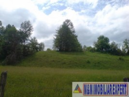 teren-2000-mp-extravilan-de-vanzare-in-albestii-de-muscel-candesti-bratisoara-arges-1