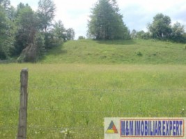 teren-2000-mp-extravilan-de-vanzare-in-albestii-de-muscel-candesti-bratisoara-arges-2