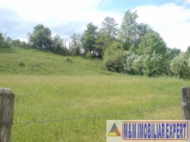 teren-2000-mp-extravilan-de-vanzare-in-albestii-de-muscel-candesti-bratisoara-arges-3