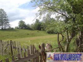teren-2000-mp-extravilan-de-vanzare-in-albestii-de-muscel-candesti-bratisoara-arges-4