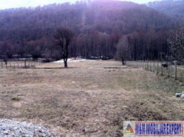 teren-6000-mp-intravilan-albestii-de-muscel-candesti-1