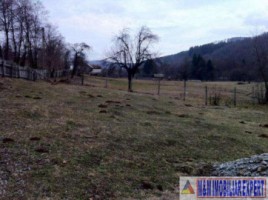 teren-6000-mp-intravilan-albestii-de-muscel-candesti-2