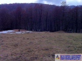 teren-6000-mp-intravilan-albestii-de-muscel-candesti-3