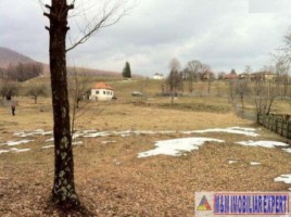teren-6000-mp-intravilan-albestii-de-muscel-candesti-4