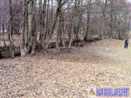 teren-6000-mp-intravilan-albestii-de-muscel-candesti-7