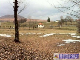 teren-6000-mp-intravilan-albestii-de-muscel-candesti-5