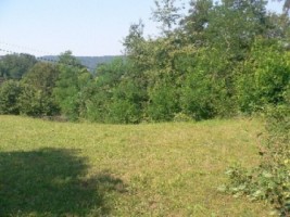 teren-3000-mp-extravilan-de-vanzare-in-albestii-de-muscel-candesti-arges