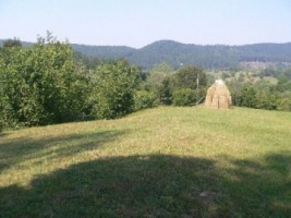 teren-3000-mp-extravilan-de-vanzare-in-albestii-de-muscel-candesti-arges-1
