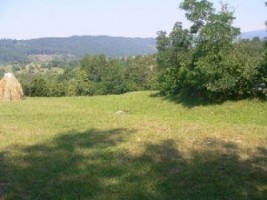 teren-3000-mp-extravilan-de-vanzare-in-albestii-de-muscel-candesti-arges-2