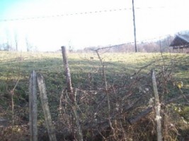 teren-3000-mp-extravilan-de-vanzare-in-albestii-de-muscel-candesti-arges-4