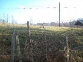 teren-3000-mp-extravilan-de-vanzare-in-albestii-de-muscel-candesti-arges-5
