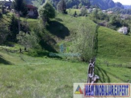 teren-2256-mp-intravilan-dambovicioara-podul-dambovitei-1