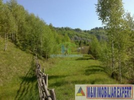 teren-2256-mp-intravilan-dambovicioara-podul-dambovitei-3