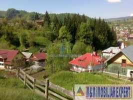 teren-2256-mp-intravilan-dambovicioara-podul-dambovitei-4