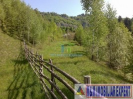 teren-2256-mp-intravilan-dambovicioara-podul-dambovitei-5