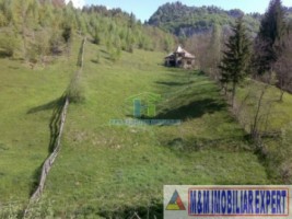 teren-2256-mp-intravilan-dambovicioara-podul-dambovitei-9