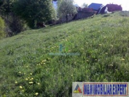 teren-2256-mp-intravilan-dambovicioara-podul-dambovitei-6