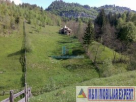 teren-2256-mp-intravilan-dambovicioara-podul-dambovitei-7