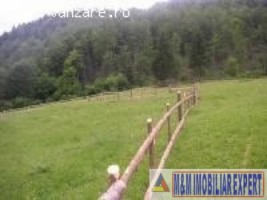 teren-intravilan-3150-mp-de-vanzare-in-valea-urdii-dambovicioara-arges