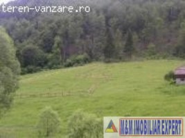 teren-intravilan-3150-mp-de-vanzare-in-valea-urdii-dambovicioara-arges-1