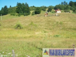 teren-intravilan-132-ha-de-vanzare-in-ciocanu-dambovicioara-arges-2