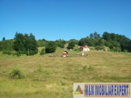 teren-intravilan-132-ha-de-vanzare-in-ciocanu-dambovicioara-arges-3