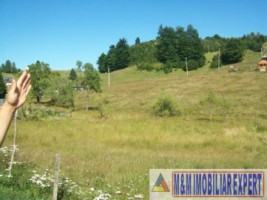 teren-intravilan-132-ha-de-vanzare-in-ciocanu-dambovicioara-arges-4