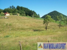 teren-intravilan-132-ha-de-vanzare-in-ciocanu-dambovicioara-arges-5