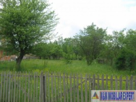 teren-800-mp-intravilan-bughea-de-sus-3