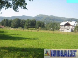 teren-3600-mp-intravilan-bughea-de-jos-arges-1