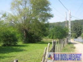 teren-3600-mp-intravilan-bughea-de-jos-arges-2