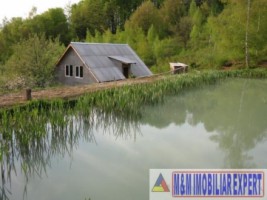 vand-vile-cabane-teren-3500-mp-8-km-rasnov-12-km-poiana-brasov-brasov-11