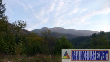 vand-vile-cabane-teren-3500-mp-8-km-rasnov-12-km-poiana-brasov-brasov-14