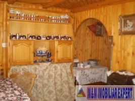 casa-5-camere-teren-530-mp-domnesti-3