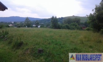 teren-intravilan-de-4010-mp-de-vanzare-in-valea-mare-pravat-arges-1