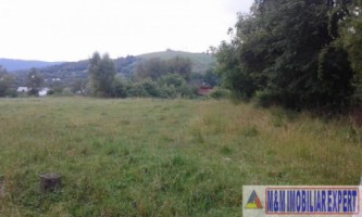 teren-intravilan-de-4010-mp-de-vanzare-in-valea-mare-pravat-arges-2