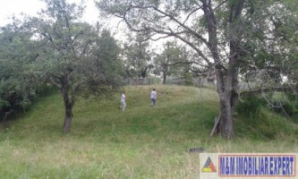 teren-intravilan-de-4010-mp-de-vanzare-in-valea-mare-pravat-arges-3