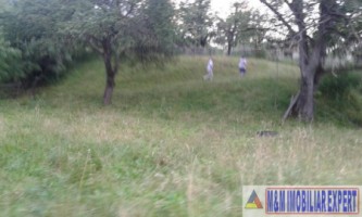 teren-intravilan-de-4010-mp-de-vanzare-in-valea-mare-pravat-arges-4