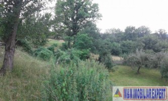teren-intravilan-de-4010-mp-de-vanzare-in-valea-mare-pravat-arges-5
