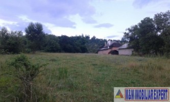 teren-intravilan-de-4010-mp-de-vanzare-in-valea-mare-pravat-arges-6