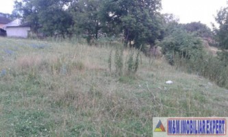 teren-intravilan-de-4010-mp-de-vanzare-in-valea-mare-pravat-arges-7