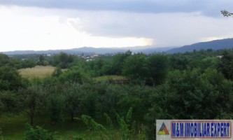 teren-intravilan-de-4010-mp-de-vanzare-in-valea-mare-pravat-arges-8