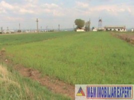 teren-intravilan-3636-mp-aproape-de-autostrada-a1-oarja-arges-1