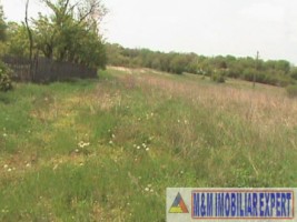 teren-agricol-1-ha-oarja-arges-ideal-pentru-cultivare-1