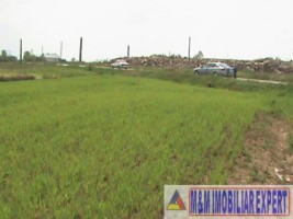 teren-agricol-1-ha-oarja-arges-ideal-pentru-cultivare-2
