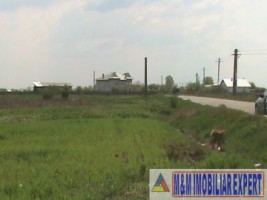 teren-agricol-1-ha-oarja-arges-ideal-pentru-cultivare-3